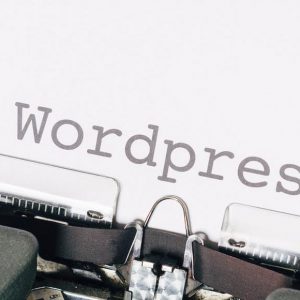wordpress kurs